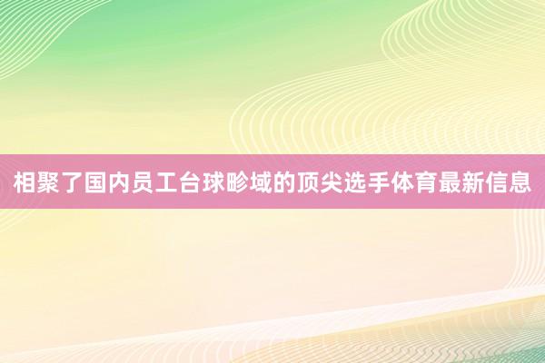 相聚了国内员工台球畛域的顶尖选手体育最新信息